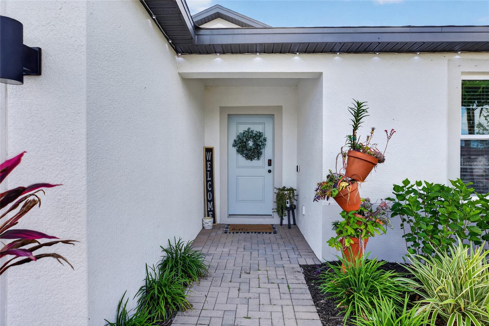 5316 PATANO LOOP