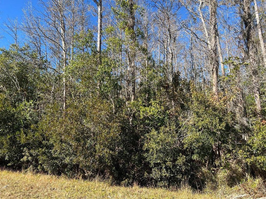 Photo of Netherland Street, Orlando, FL 32833 (MLS # O6378532)