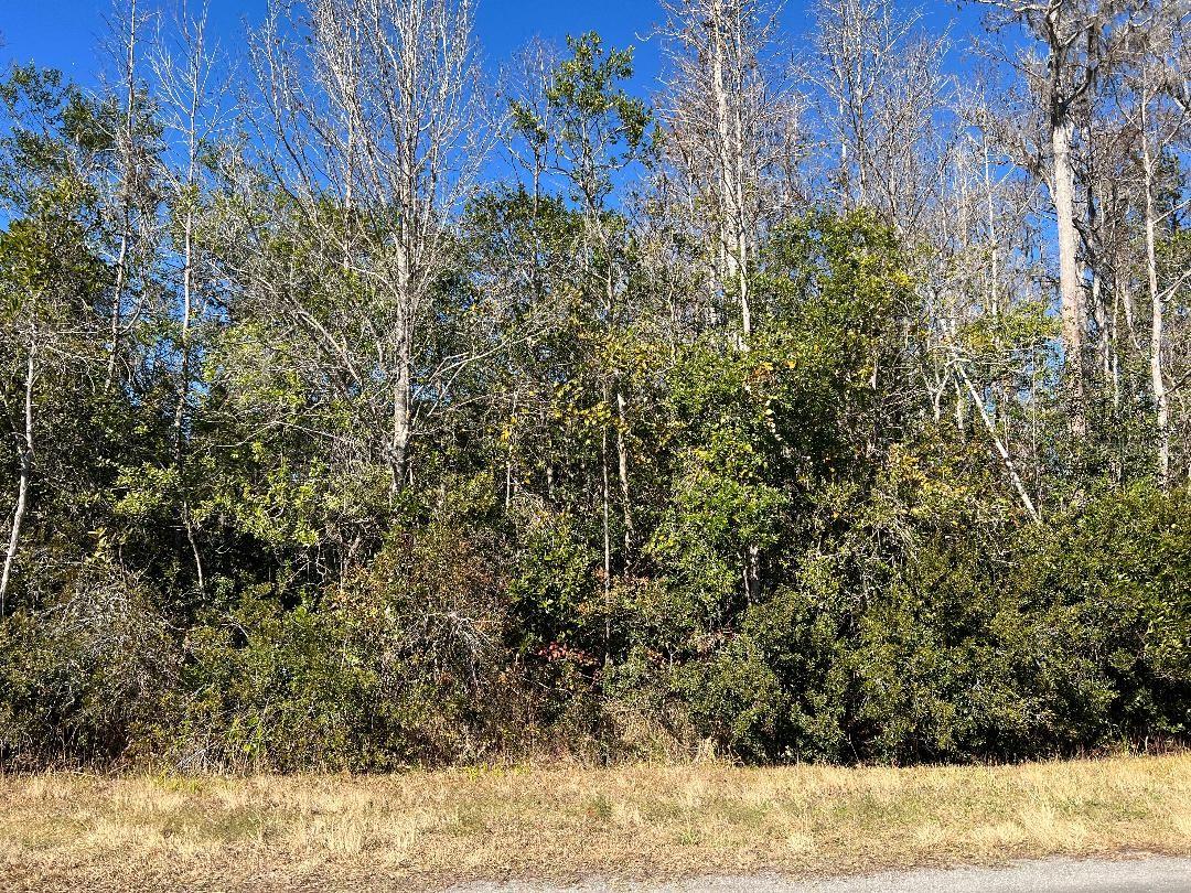 CAPE ORLANDO ESTATES - Land