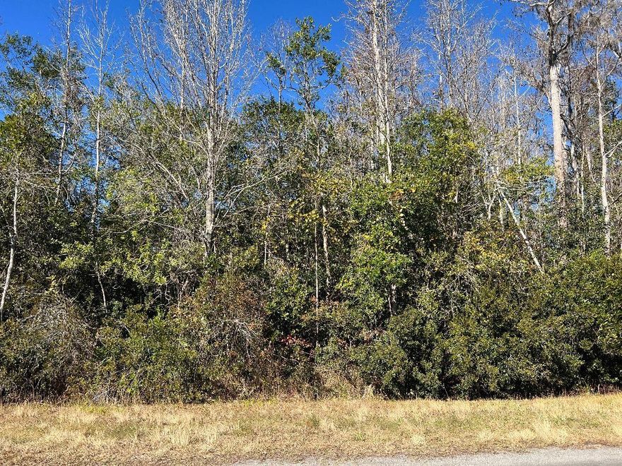 Located on a paved road, this 1.03 acre lot in East Orlando is ready for your dream home. 
Surrounded by Florida's serene beauty, the community of Wedgefield/Cape Orlando Estates is conveniently located off Interstate 528. Orlando Airport, Downtown Orlando, Lake Nona Medical City, Beaches, Kennedy Space Center, University of Central Florida and Port Canaveral cruise terminals along with area Theme parks are an easy commute. 
Invest in your future and don't miss this opportunity to build your dream home here.