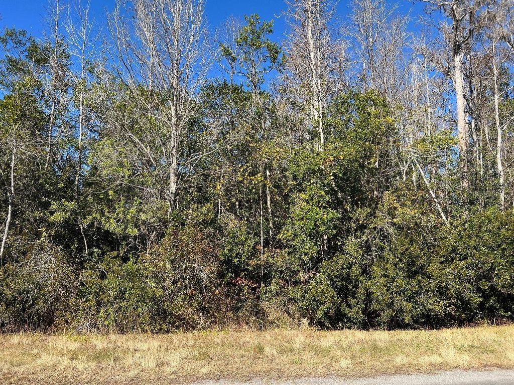 Photo of Netherland Street, Orlando, FL 32833 (MLS # O6378532)