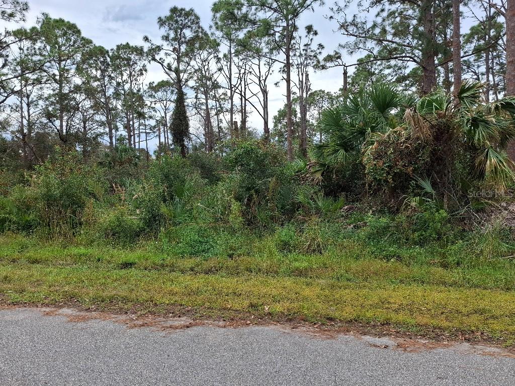 This property offers a great opportunity to build your ideal home in a quiet community. Conveniently located near all must have amenities such as shopping, golfing, dining, entertainment, fishing and so much more. Lot is partially cleared for easier clearing and building. The interior is walkable. Don't miss your chance to invest in this property and creat the lifestyle you desire in Port Charlotte. Priced to sell.
Current survey with elevations and trees available.