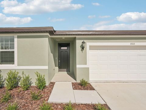 Photo of 7715 Gilchrist Springs Drive, Parrish, FL 34219 (MLS # O6323681)
