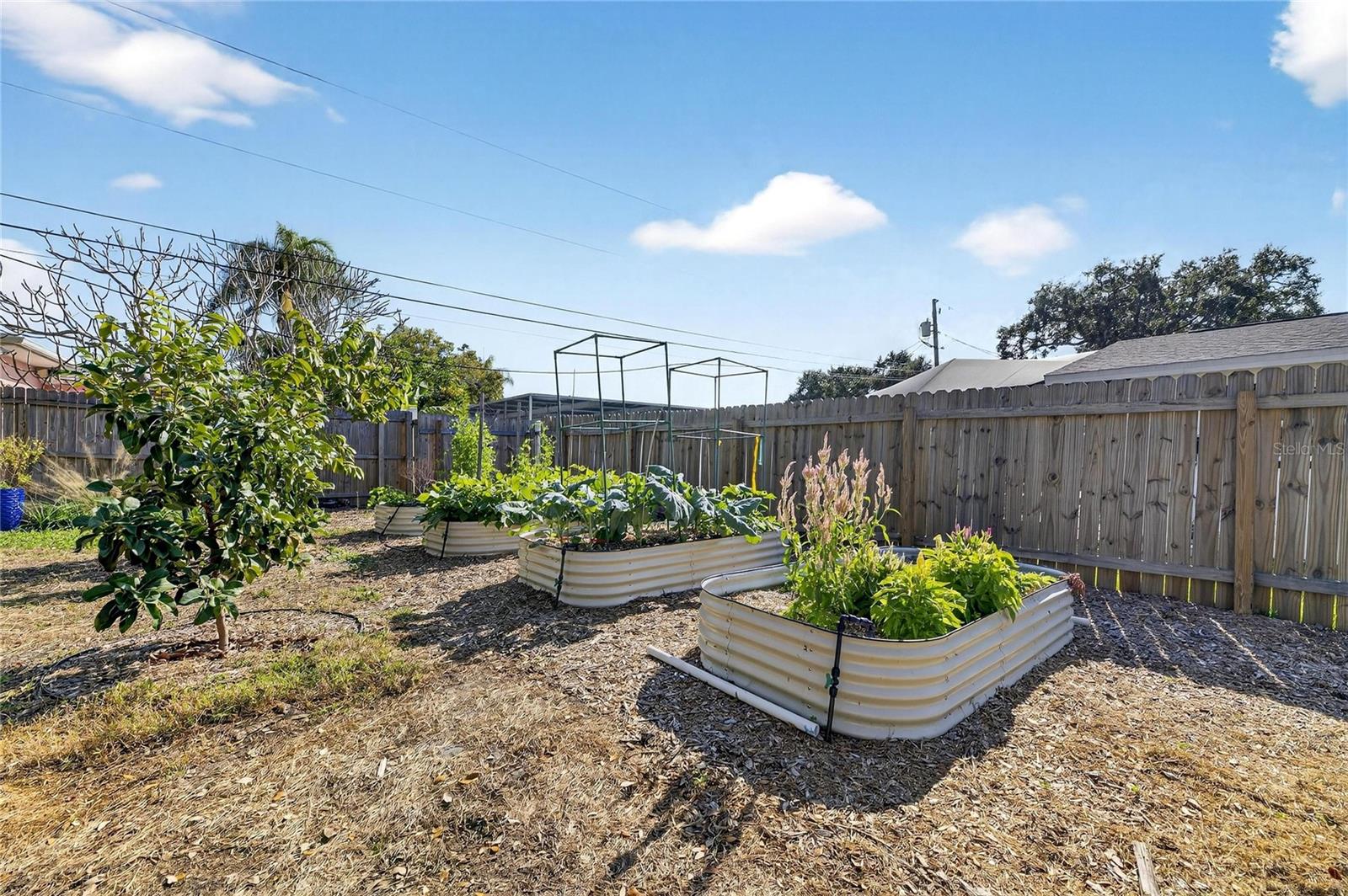 MARSHALL MANOR 1ST ADD - Residential