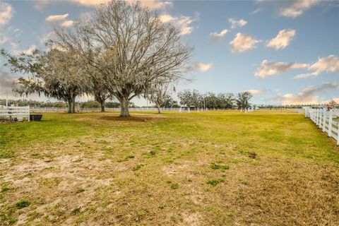 Tiny photo for 4015 Indigo Road, Groveland, FL 34736 (MLS # O6388937)