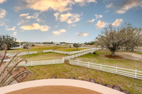 Tiny photo for 4015 Indigo Road, Groveland, FL 34736 (MLS # O6388937)