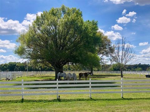 Tiny photo for 4015 Indigo Road, Groveland, FL 34736 (MLS # O6388937)