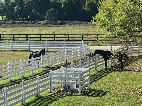 Tiny photo for 4015 Indigo Road, Groveland, FL 34736 (MLS # O6388937)