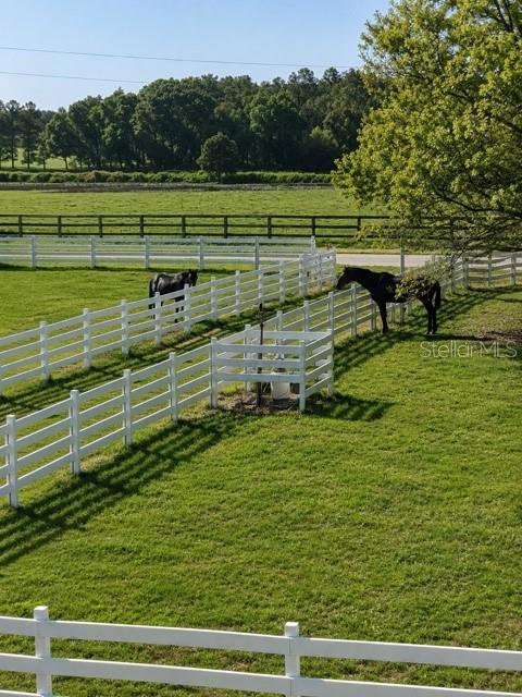 Tiny photo for 4015 Indigo Road, Groveland, FL 34736 (MLS # O6388937)