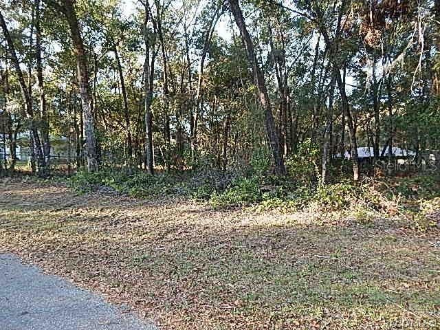 Photo of 6049 E Seneca Street, Inverness, FL 34452 (MLS # O6446067)