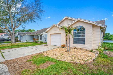 A home in TAMPA