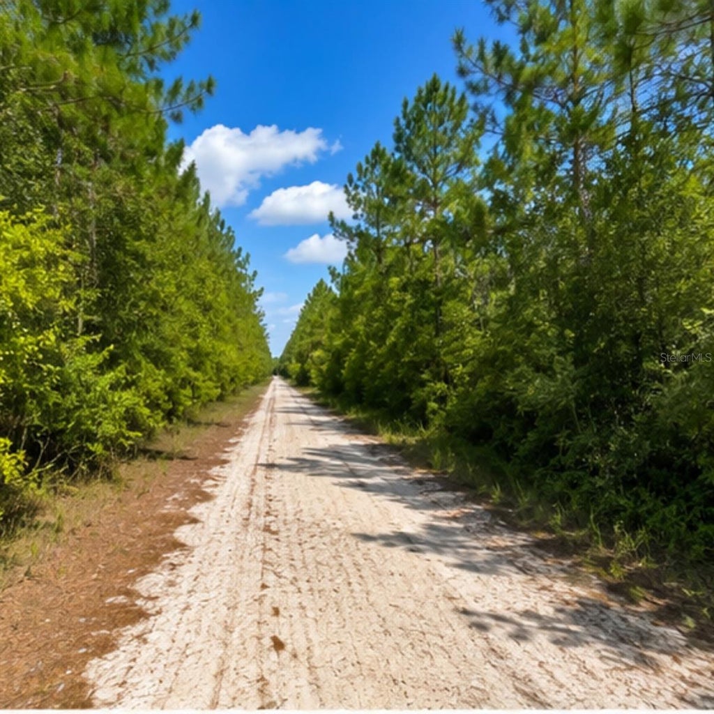 Photo of Rochelle Lane, Crestview, FL 32539 (MLS # L4964722)