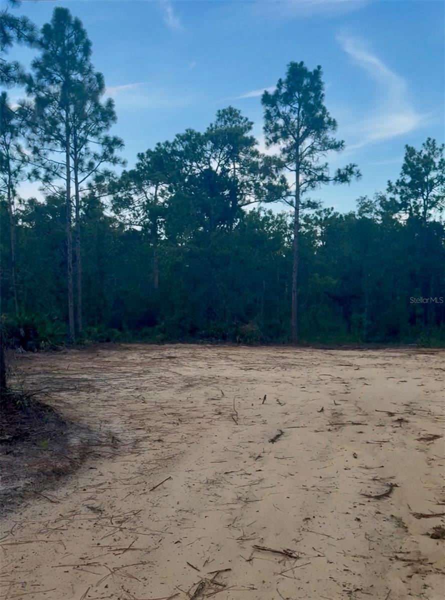 Beautiful 1/2-acre lot perfect for the outdoor enthusiast--this spectacular property is nestled in the well sought out Royal Highlands Community. This lot is mostly clean and drive has been cleared --build your dream home with enjoy the privacy, tranquility and serenity of countryside living. No future neigbors in the rears--backed up to a nature preserve. Mature landscaping is at the perimeter. Build a pool with an oversize deck, store your boat, design an RV pad or just pull up a lounge chair and read your favorite book with mother nature or entertain with frtiends and family until you drop. Land is high and dry in Zone X NO HOA or CDD fees. A geograpical marvel in location, minutes from 589,restaurants, bistros, shopping with publixs nearby. Great local schools along with the Weeki Wachee State Park that has a futuristic 30 acre lagoon community. This area is well sought and definitely the future for phenomnial outdoor living. Ask about an additonal lots collocated and nearby this property. Ask for a private tour.