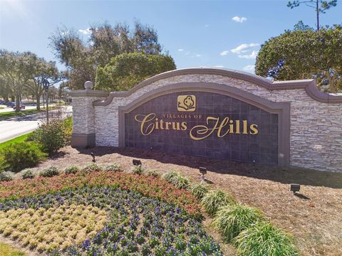 Tiny photo for 1542 N Ridge Meadow Path, Hernando, FL 34442 (MLS # W7881697)