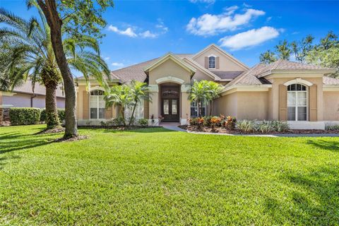 A home in LITHIA