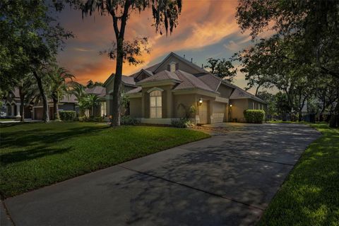 A home in LITHIA