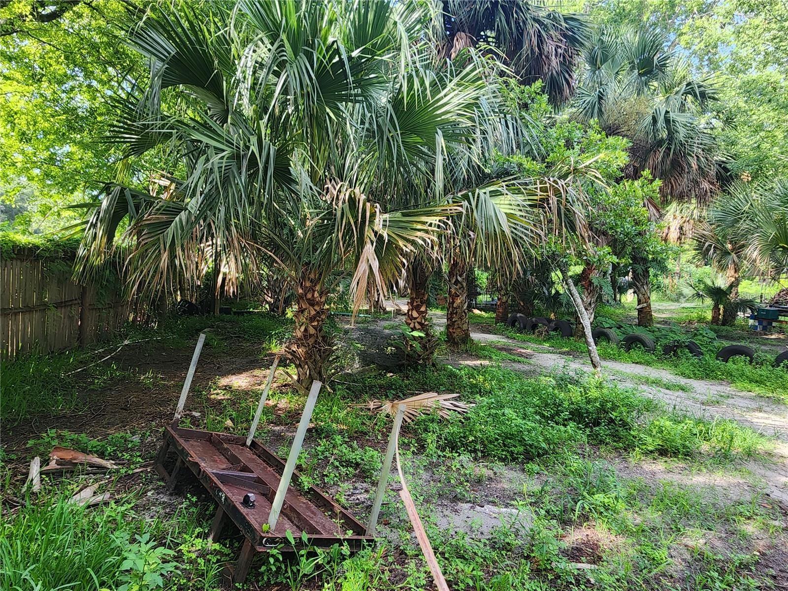 ROSALIND HEIGHTS - Land