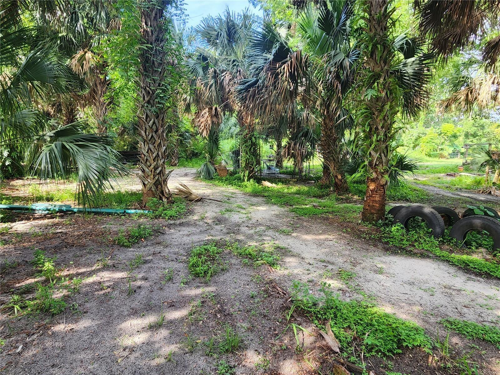 ROSALIND HEIGHTS - Land