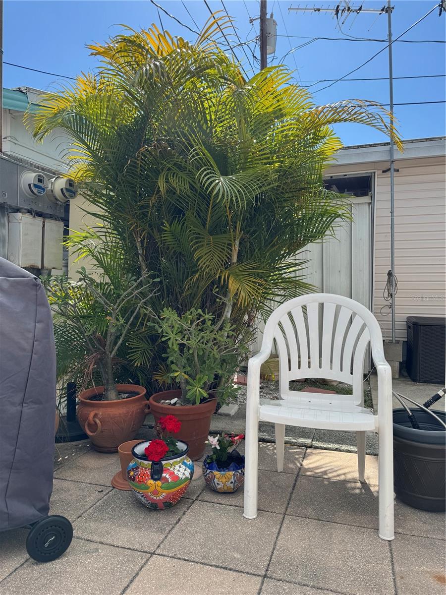 PARADISE BAY ESTATES CO-OP - Residential