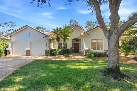 Photo of 15 Chinier Street, Palm Coast, FL 32137 (MLS # FC314149)