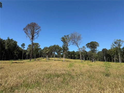 Tiny photo for 84 NW 193rd St, Micanopy, FL 32667 (MLS # OM688565)