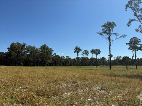 Tiny photo for 84 NW 193rd St, Micanopy, FL 32667 (MLS # OM688565)