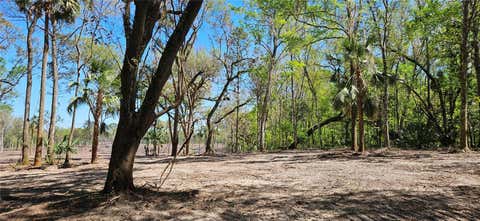 Tiny photo for 84 NW 193rd St, Micanopy, FL 32667 (MLS # OM688565)
