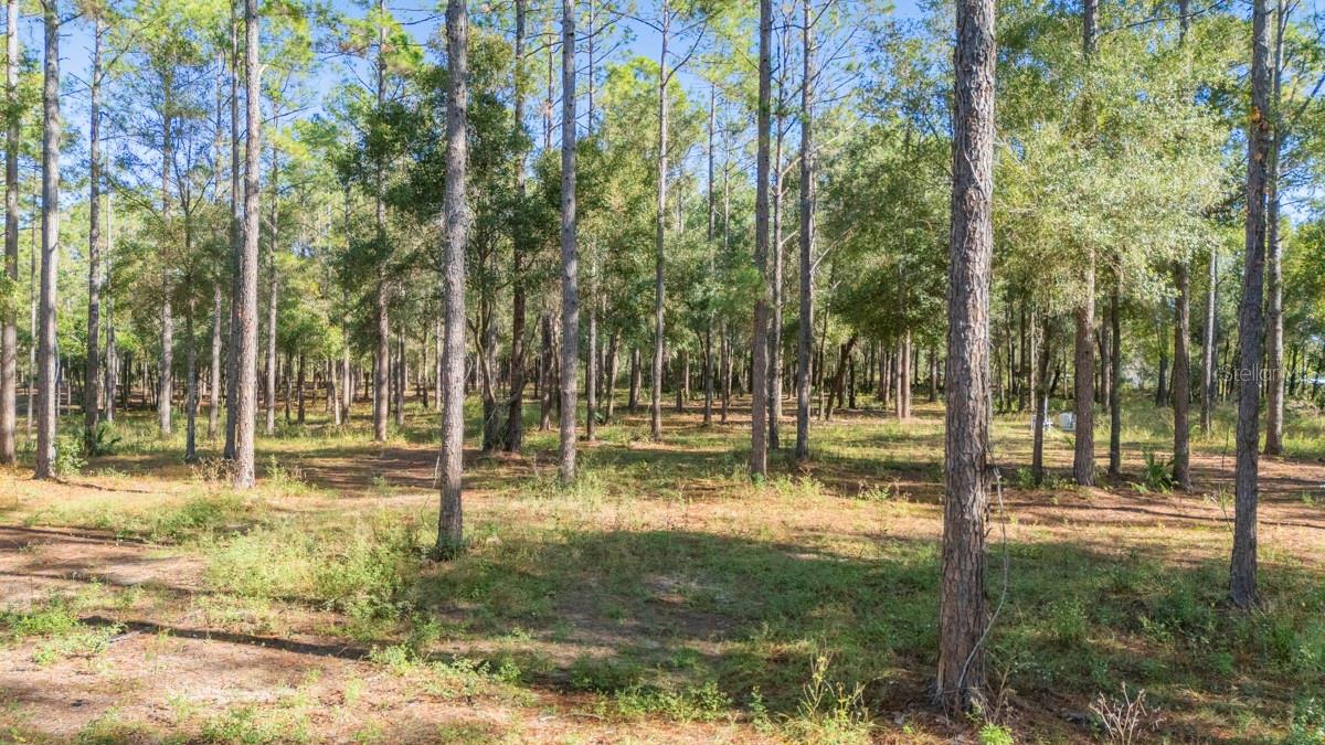 LAKEWOOD RANCHES - Residential