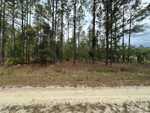 00 SW 75TH STREET DUNNELLON FL 34432