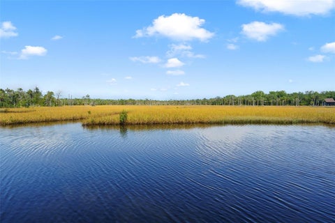 Tiny photo for 6085 S Royal Drive, Homosassa, FL 34448 (MLS # OM730719)
