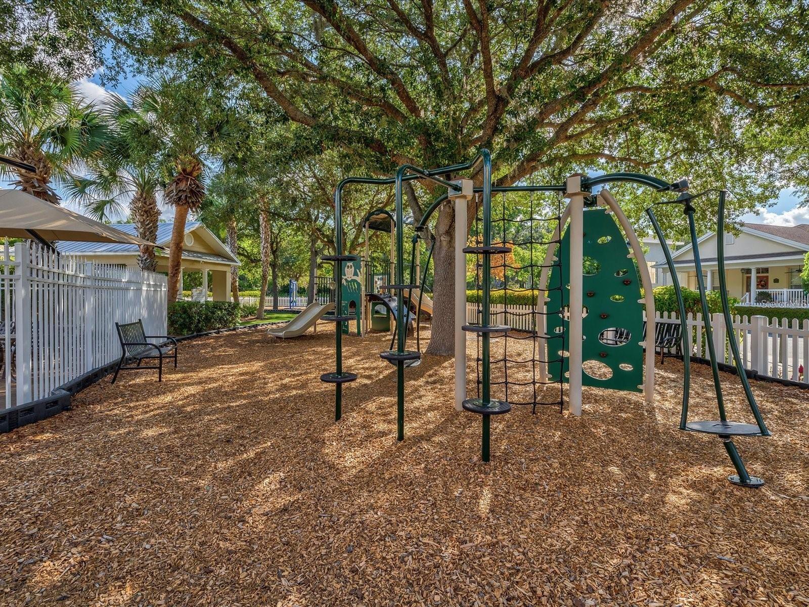 LONGLEAF NEIGHBORHOOD 03 - Residential