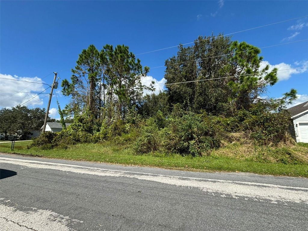 Photo of 310 Cardiff Drive, Poinciana, FL 34758 (MLS # S5141491)