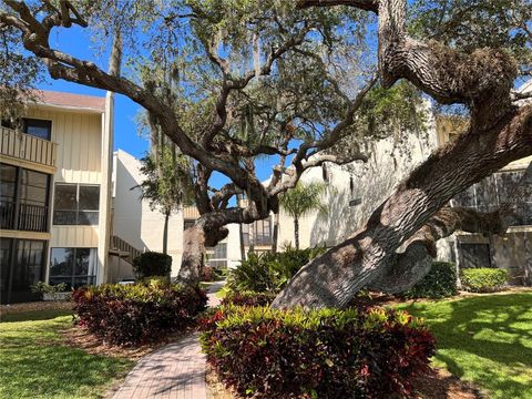 A home in SARASOTA