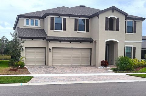 12854 BOGGY CREEK DRIVE RIVERVIEW FL 33579