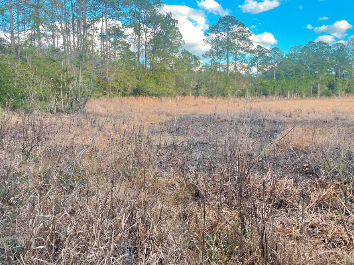 SILVER LAKE ACRES UN 01 - Land