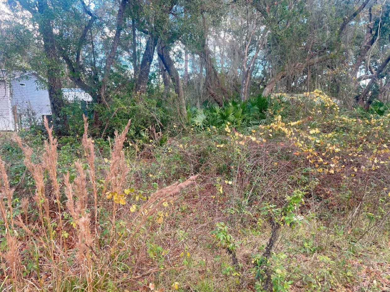 SILVER LAKE ACRES UN 01 - Land