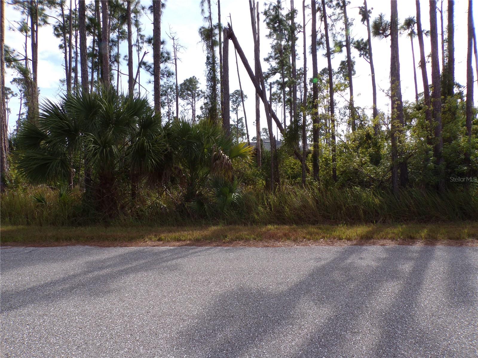 PORT CHARLOTTE SUB 33 - Land