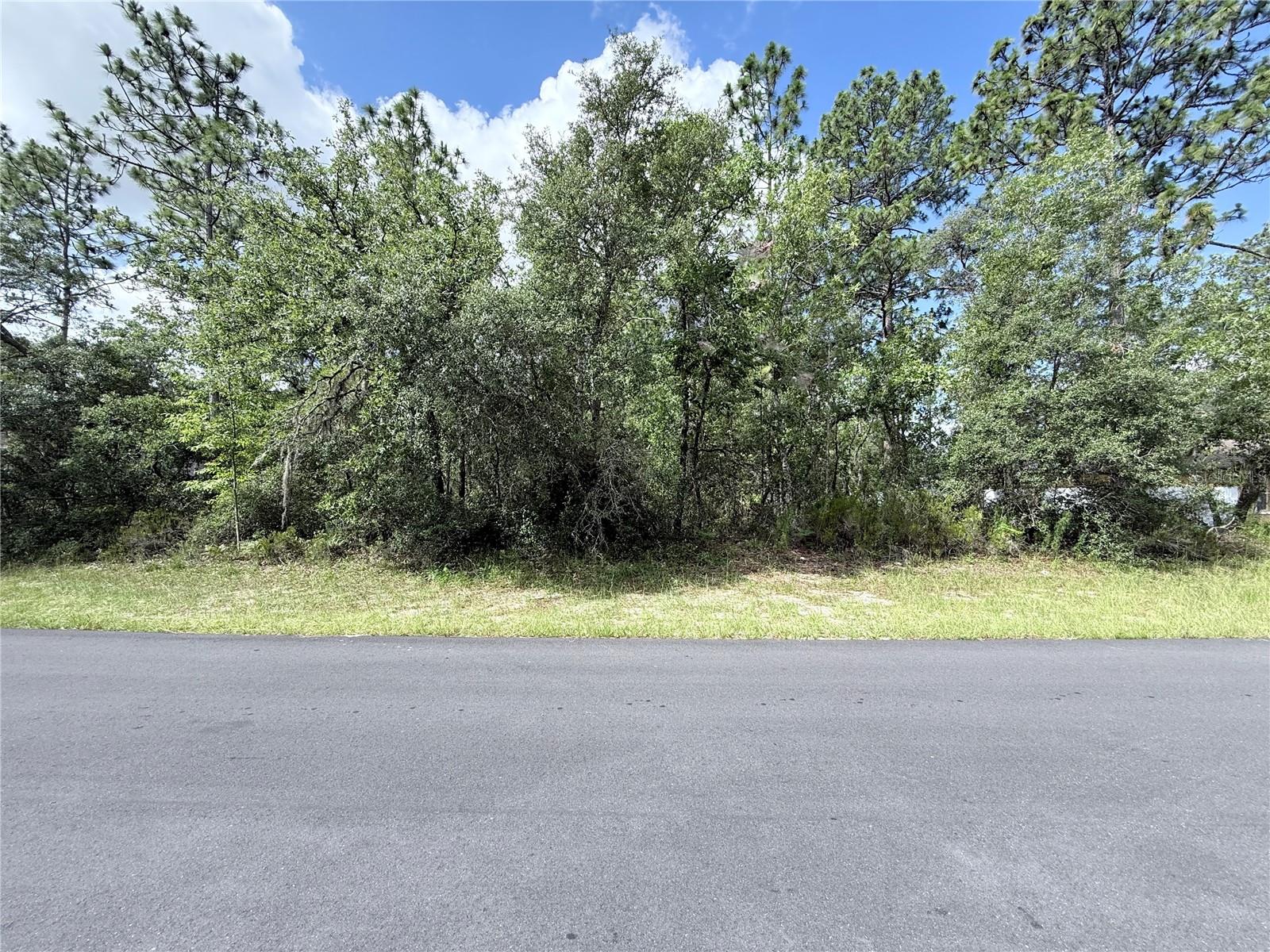 TBD SW 65TH AVENUE ROAD