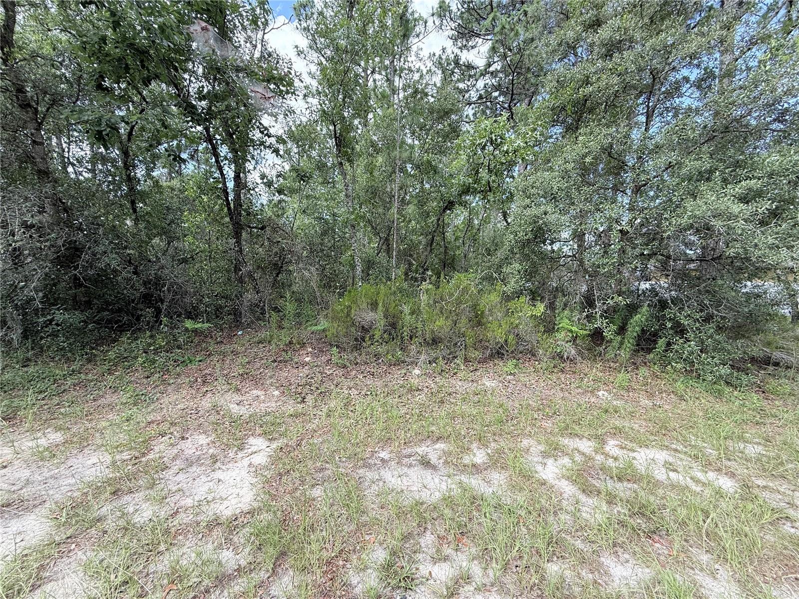 TBD SW 65TH AVENUE ROAD