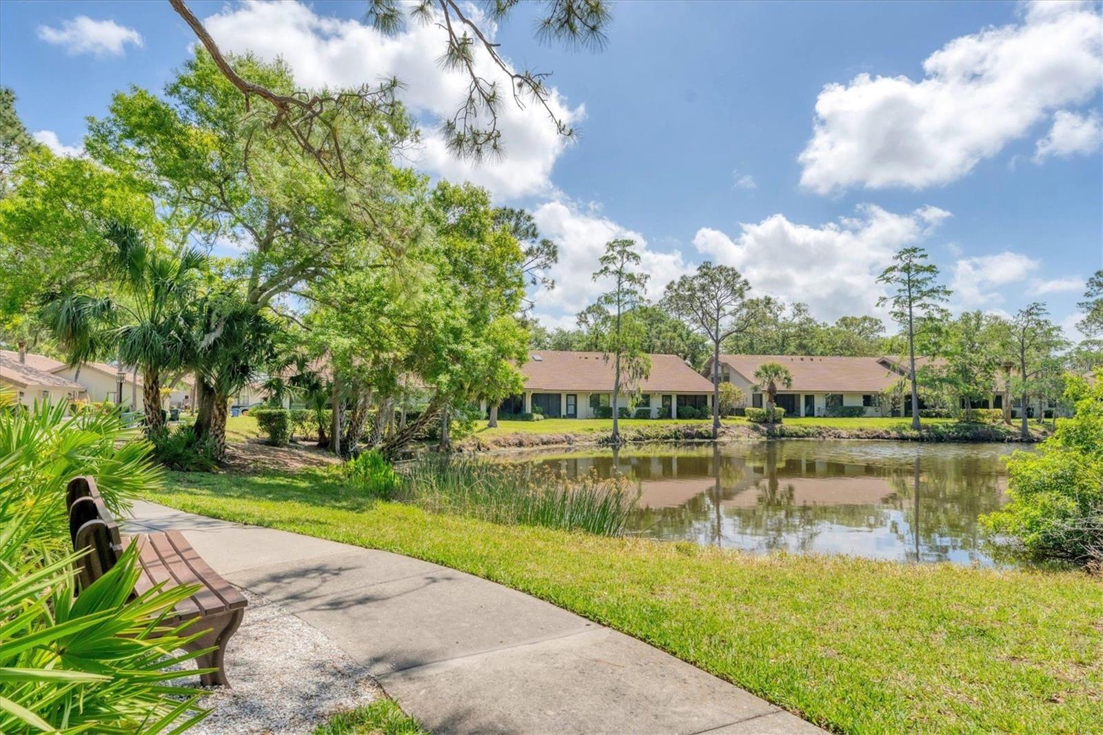 VILLAGE LAKE / THE MEADOWS - Residential