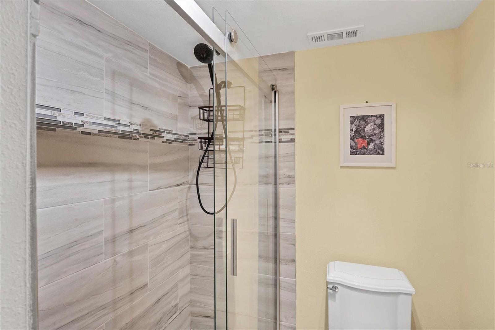 VILLAGE LAKE / THE MEADOWS - Residential