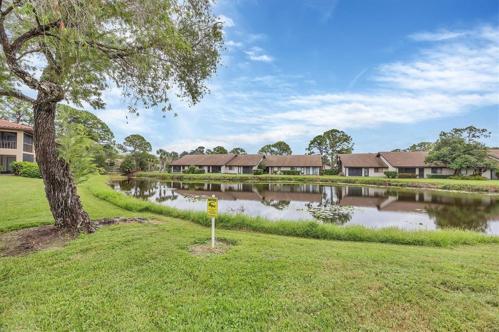 VILLAGE LAKE / THE MEADOWS - Residential