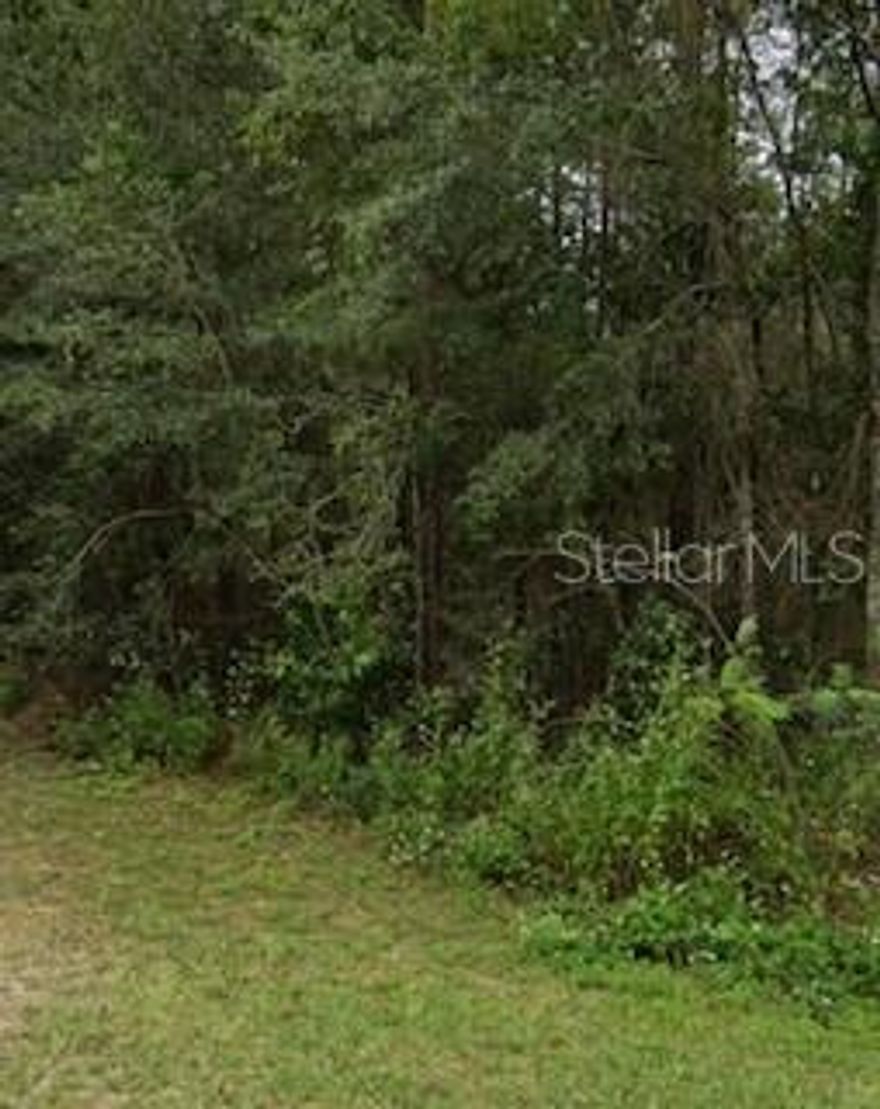 MOTIVATED SELLER! Build your custom dream home in beautiful Williston Highlands Golf & County Club Estates! This peaceful golf community is centrally located within minutes of Ocala & Gainsville. The property is near Orlando & within driving distance of the Gulf. This is a one of a kind property. Build where there's privacy with mature trees & right when you step outside. Buyer is responsible for, but not limited to, verifying sq ft, presence of critters & utilities.