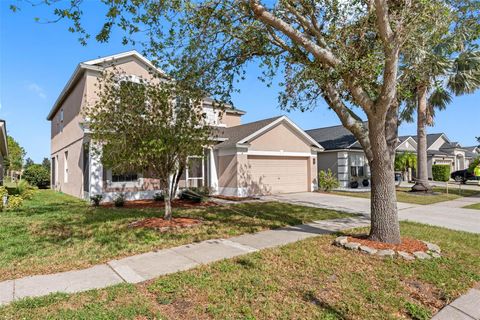 A home in RIVERVIEW