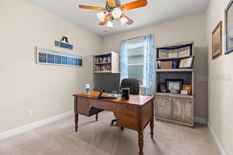 Tiny photo for 30201 Hackney Loop, Mount Dora, FL 32757 (MLS # O6399940)