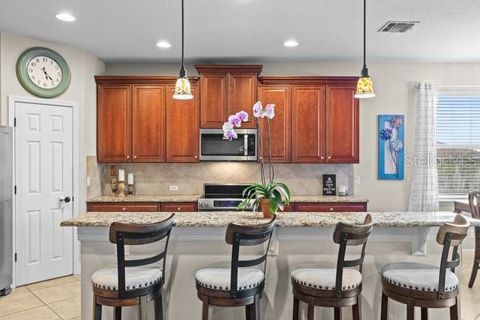 Tiny photo for 30201 Hackney Loop, Mount Dora, FL 32757 (MLS # O6399940)