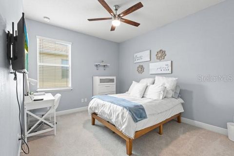Tiny photo for 30201 Hackney Loop, Mount Dora, FL 32757 (MLS # O6399940)