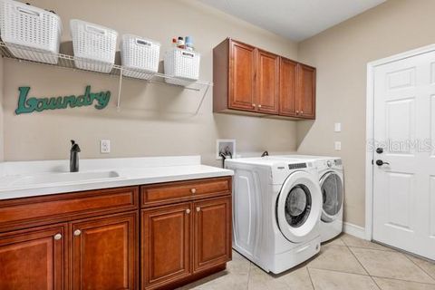 Tiny photo for 30201 Hackney Loop, Mount Dora, FL 32757 (MLS # O6399940)