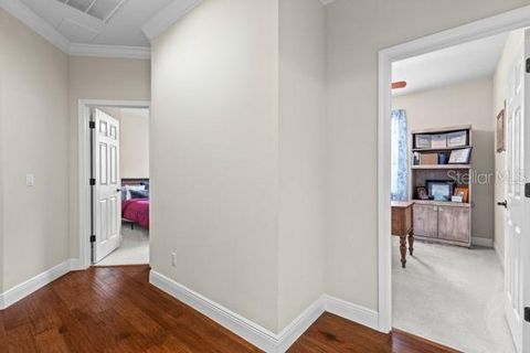 Tiny photo for 30201 Hackney Loop, Mount Dora, FL 32757 (MLS # O6399940)