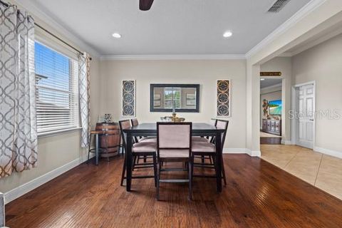 Tiny photo for 30201 Hackney Loop, Mount Dora, FL 32757 (MLS # O6399940)